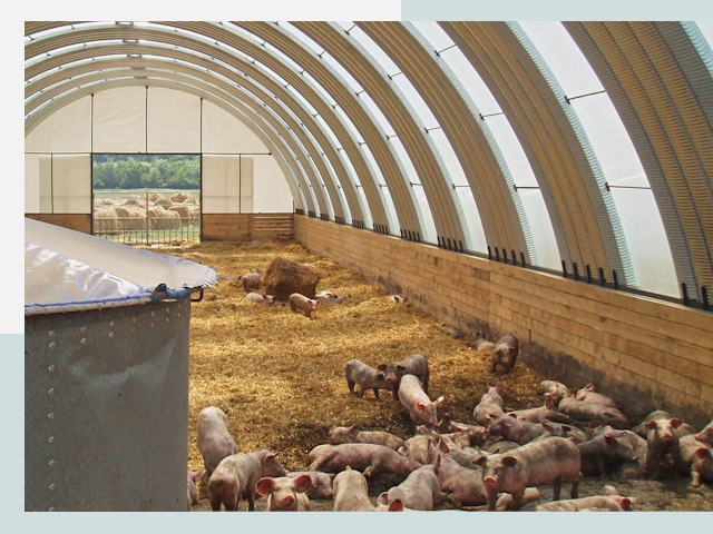 Строительство свинарников в Морозовске