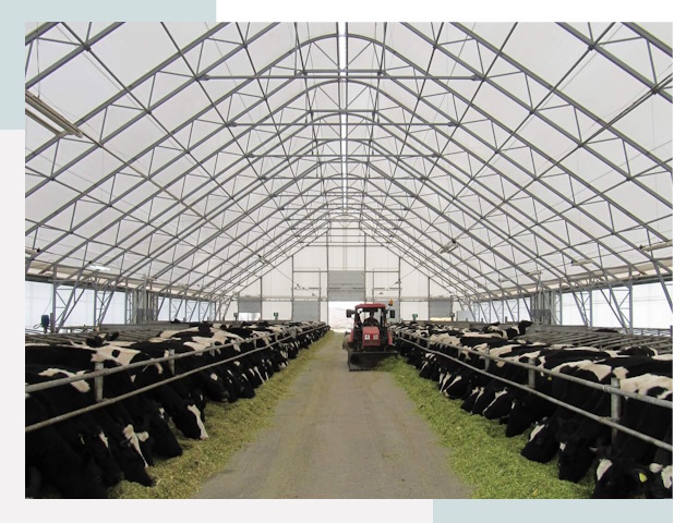 Тентовые коровники в Морозовске от 616 руб. - Надежно и доступно