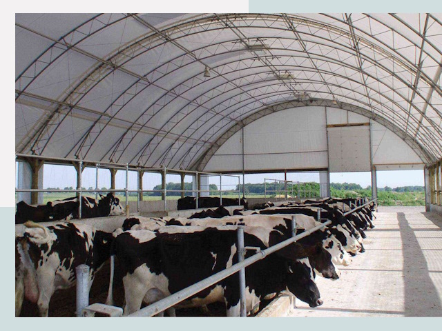 Тентовые коровники в Морозовске